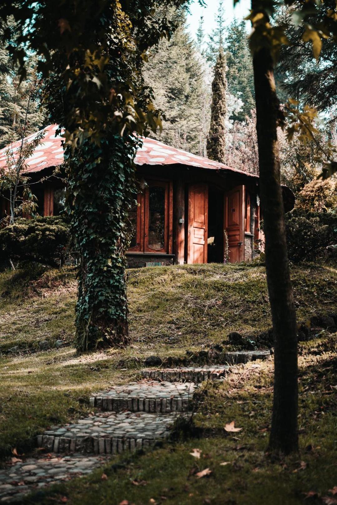 Hotel Boxque Teva Città del Messico Esterno foto